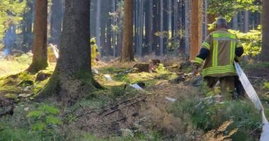 B1 – erloschene Feuerstelle im Wald