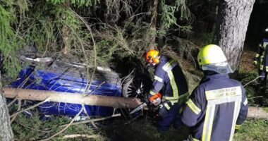 THL 1 – VU Fahrzeug kam von der Straße ab