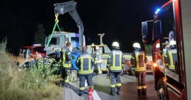 THL 1 – Im Patersdorfer Kreisel von der Straße abgekommen.