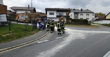 THL 1 – Sturz Rollerfahrer in Zwiesel – Benzin läuft aus