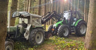 THL 3 – Rettung#Waldunfall mit eingeklemmter Person in Raindorf