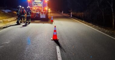 THL Rettung Großtier