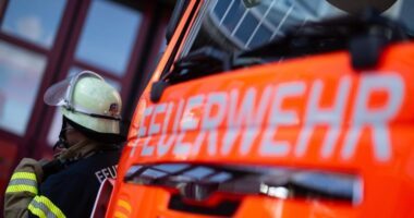 B1 – Illegal entsorgte heiße Asche setzt Baumstumpf in Wald bei Viechtach in Brand