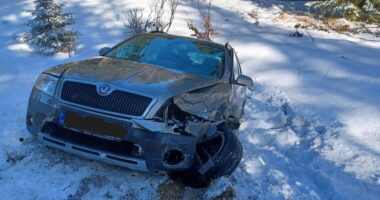 THL 2 VU#mehrere PKW in der Nähe vom Arbersee