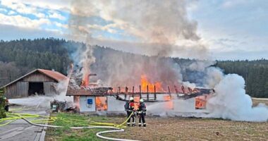 B3 – Großeinsatz für 90 Einsatzkräfte: Schreinerei zwischen Prackenbach und Miltach brennt aus