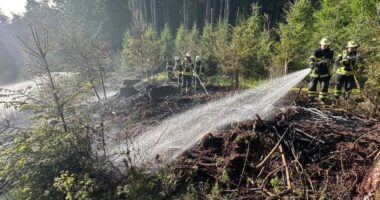 Feuerwehr bekämpft Waldbrand bei Teisnach: 1500 Quadratmeter Fläche betroffen