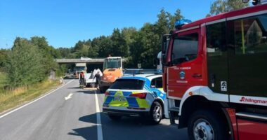 THL1 – VU Anhänger mit Getreide kippt um: B85 bei Patersdorf für etwa eine Stunde gesperrt
