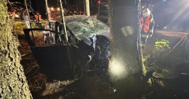 THL 1 – VU Betrunkener prallt mit seinem Auto gegen Baum: Zwei Verletzte bei Unfall in Viechtach