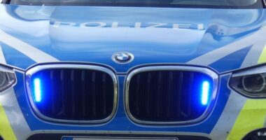 THL 1 – Erneut Vermisstensuche in Geiersthal: Gesuchte Person kehrt selbst nach Hause zurück